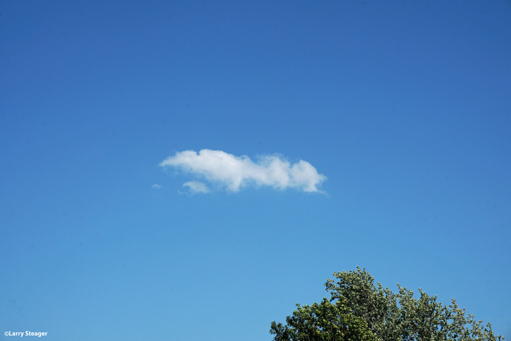 Lone cloud by larrysphotos