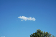 4th Sep 2023 - Lone cloud