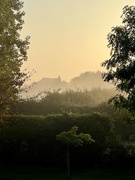 5th Sep 2023 - Misty morning