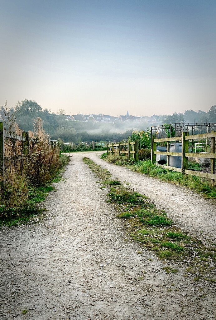 Mansfield Allotments on a Misty Morning by allsop