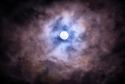 30th Aug 2023 - Blue Moon