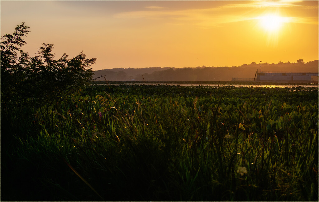 Mississippi River by 365projectorgchristine