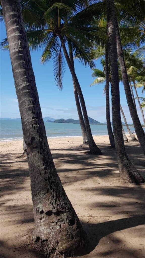 Palm Cove by dianeburns