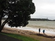 6th Sep 2023 - Sooc   One of the three bays at Paihia looking towards The Treaty Grounds , the folk had 3 pugs chasing sticks 