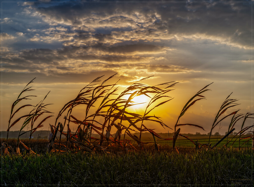 Iowa Sunset by bluemoon