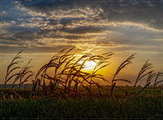 5th Sep 2023 - Iowa Sunset