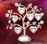 7th Sep 2023 - Tree of hearts
