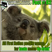 Fun Fact 2 by koalagardens