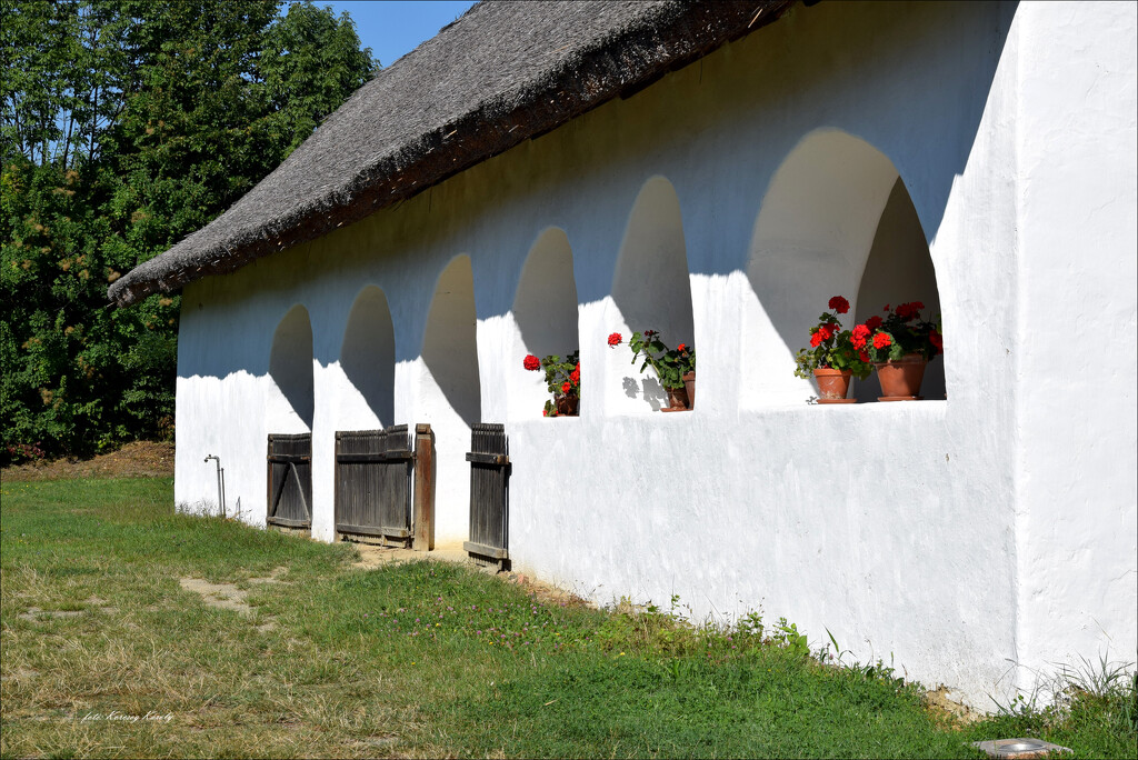 Porch farmhouse with geraniums by kork