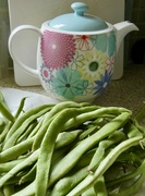 7th Sep 2023 - Beans for tea