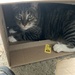 My Box! by spanishliz