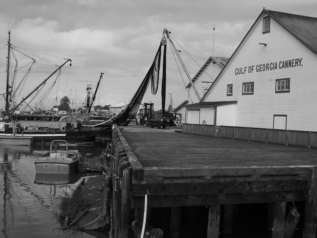 Steveston Docks by cdcook48