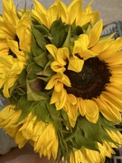 7th Sep 2023 - Sunflower bouquet from a dear friend