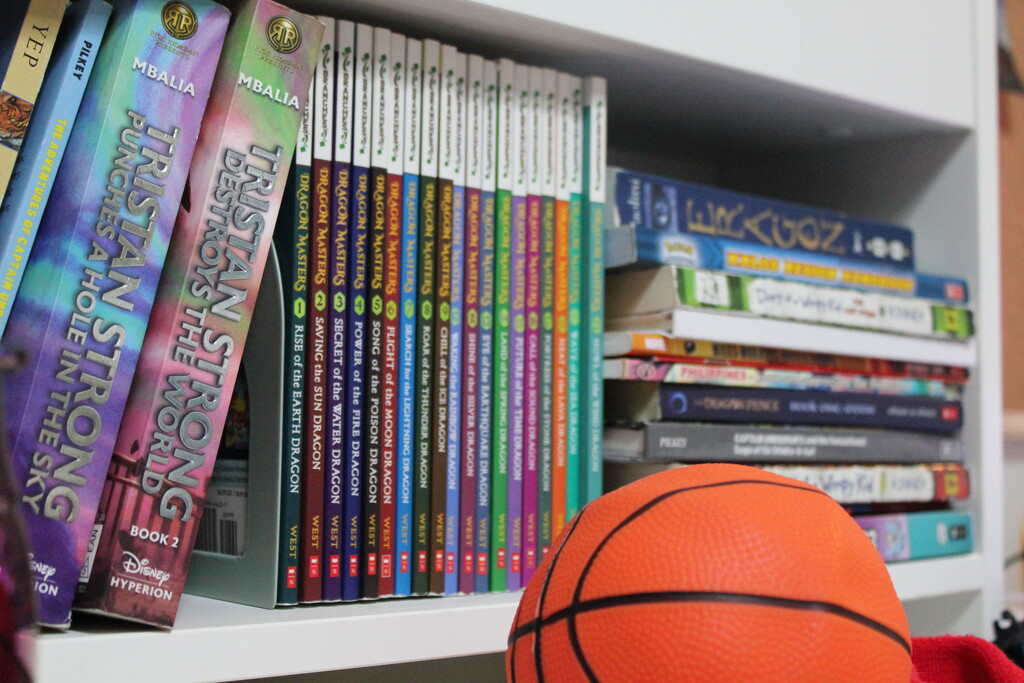 Books and a basketball  by chelleo