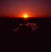 8th Sep 2023 - Sunrise I