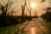 7th Sep 2023 - Green Heron - Baker Wetlands at Sunrise