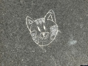 9th Sep 2023 - Kitty Was Here