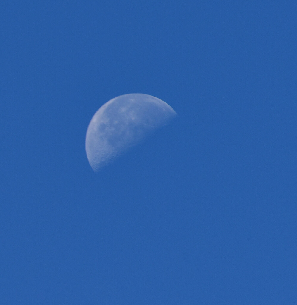 Mid-Day Moon by bjywamer