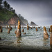 Ghost Forest ~ Neskowin, Oregon by 365projectorgbilllaing