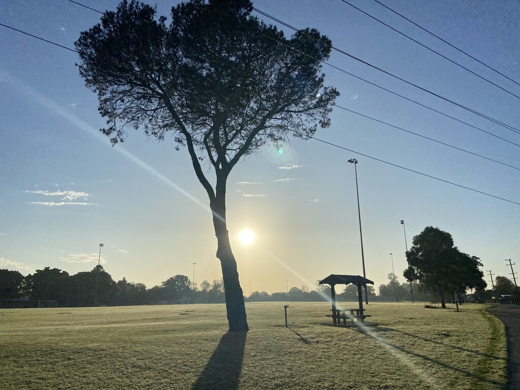 Morning Walks by sarahabrahamse