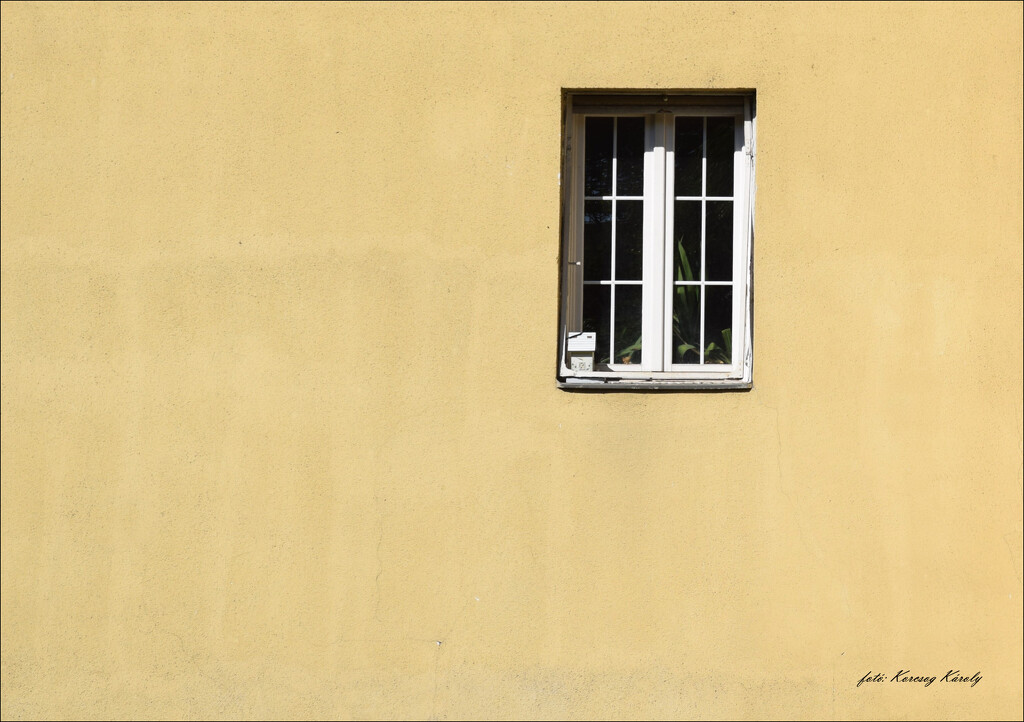 Window with birdhouse by kork