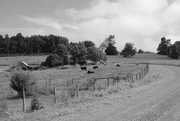 9th Sep 2023 - Blue Ridge Farm.  NF-SOOC 