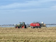 9th Sep 2023 - Making hay while the sun shines.