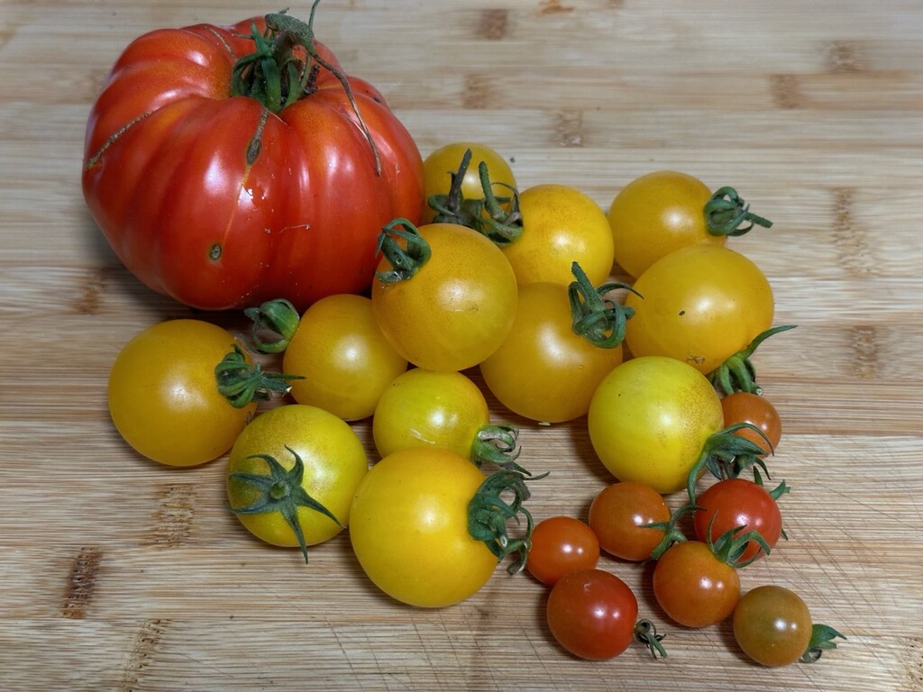 Harvest from my garden by bizziebeeme