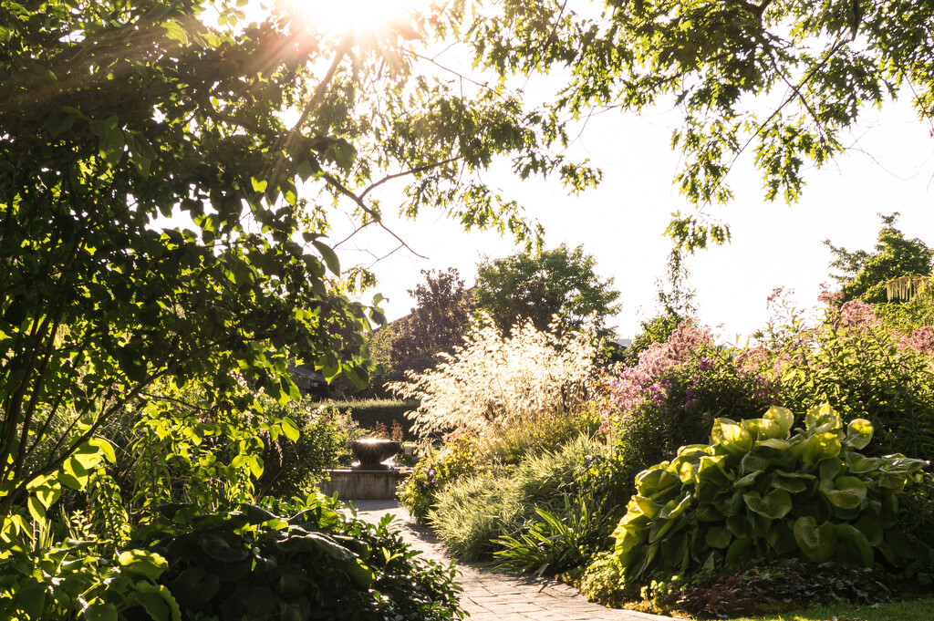 Late summer garden walk at the Horticultural Center by cristinaledesma33