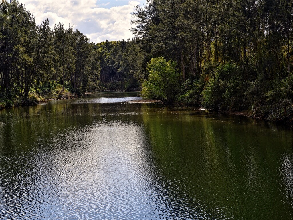 Bellinger River at Bellingen, NSW.  by johnfalconer