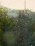 10th Sep 2023 - Hello rain.......