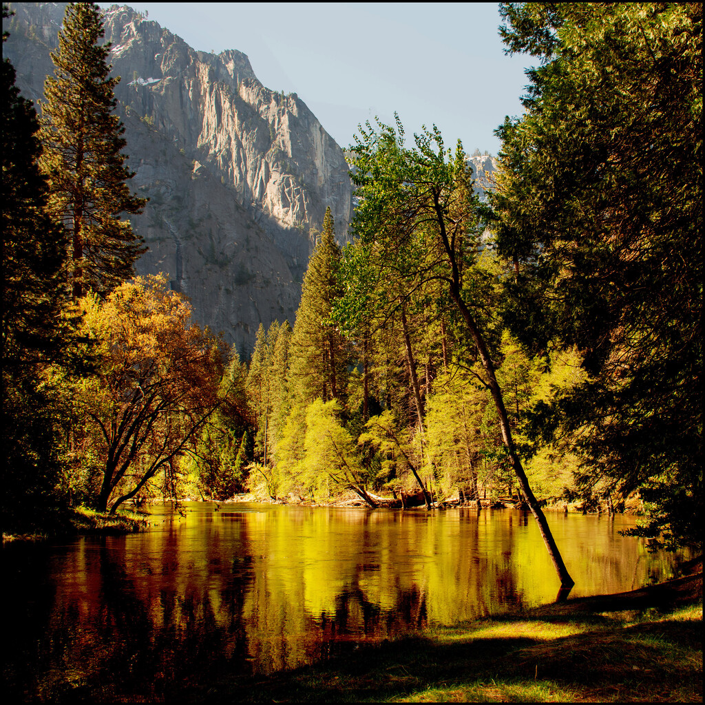 Yosemite Valley by 365projectorgchristine