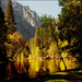 Yosemite Valley by 365projectorgchristine