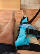 20th Jul 2023 - Ice Packs for the Win!