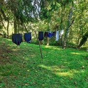11th Sep 2023 - A French washing line