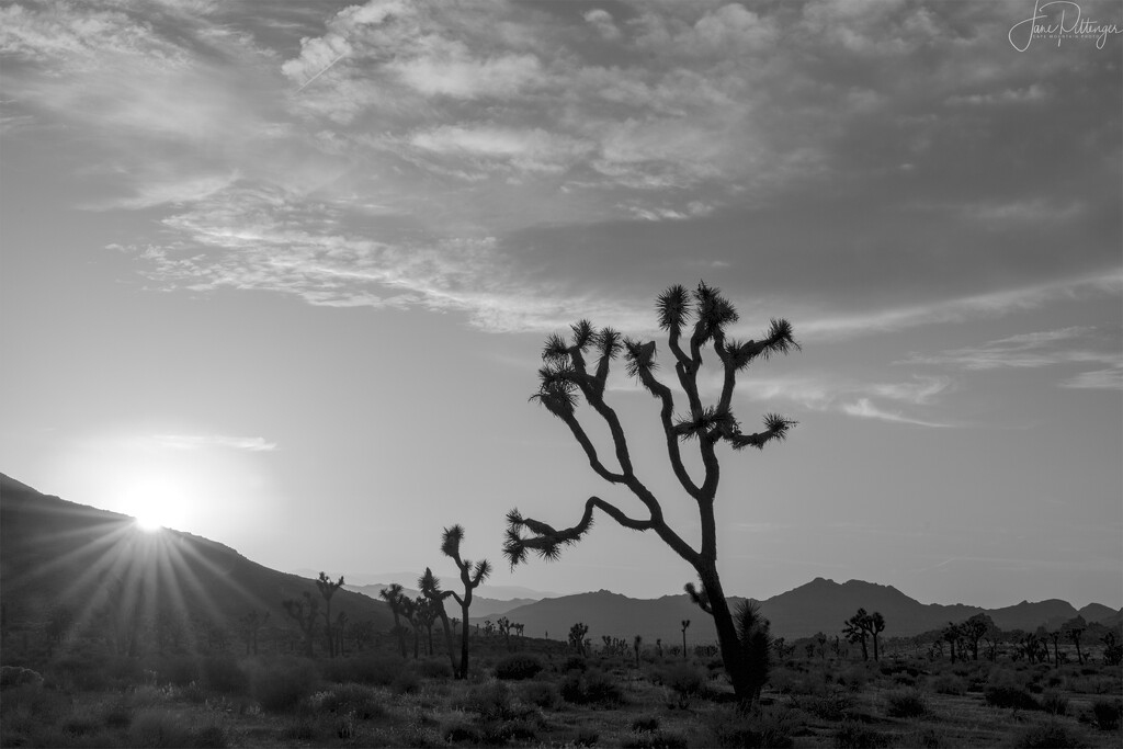 Black and White Sun Going Down  by jgpittenger