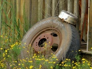 10th Sep 2023 - Off Road Tire