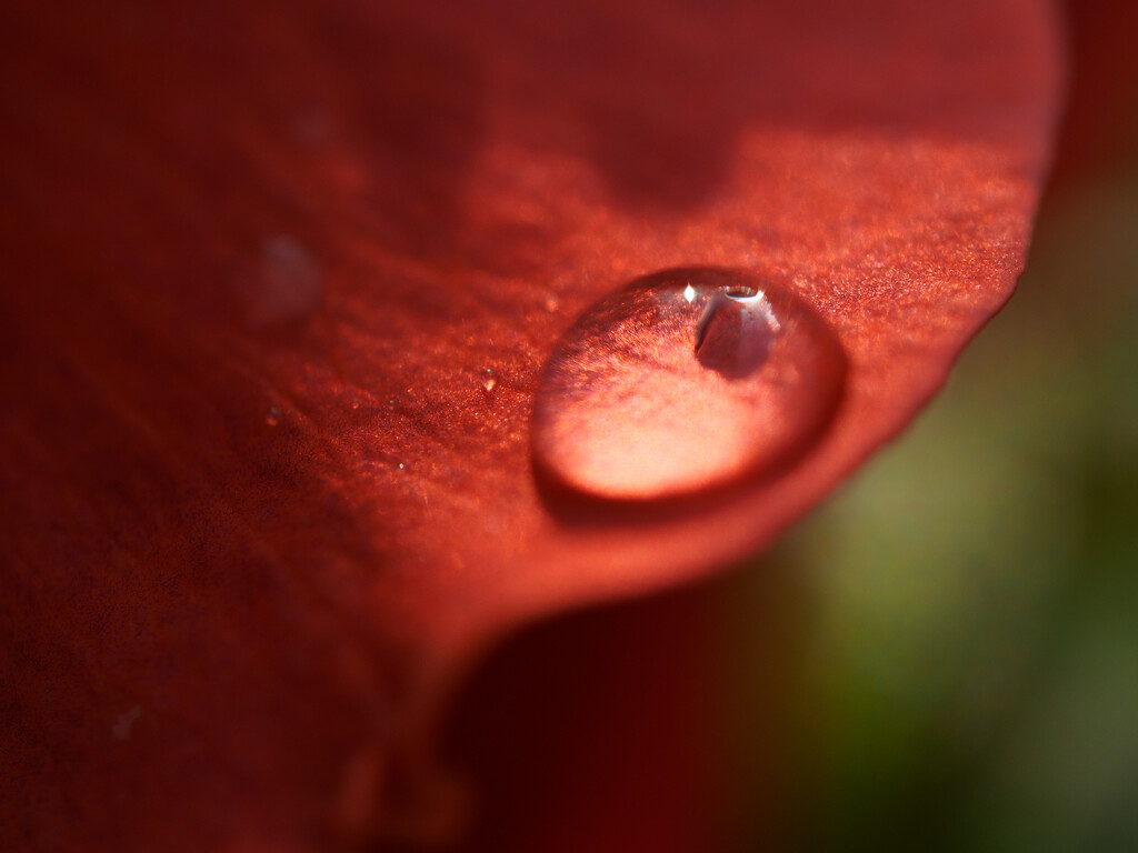 10 - Raindrop by marshwader