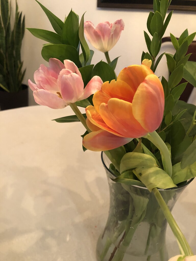 Tulips by loweygrace