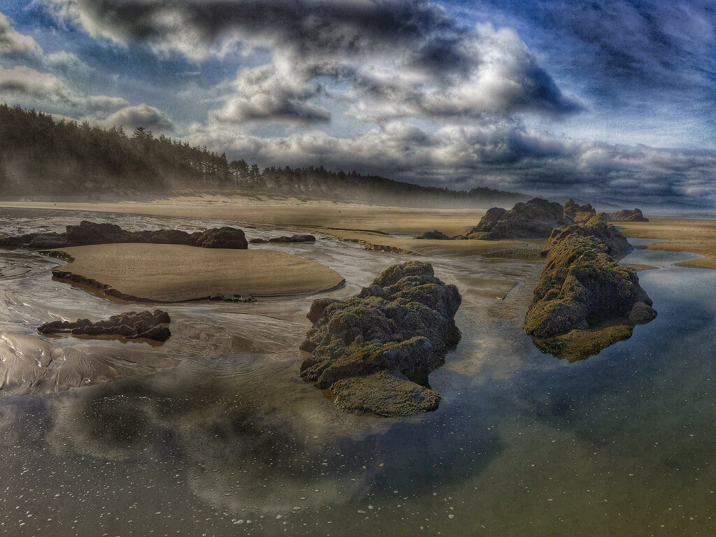 Low Tide ~ Oregon Coast by 365projectorgbilllaing