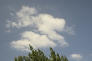 8th Sep 2023 - Nessie shaped cloud?