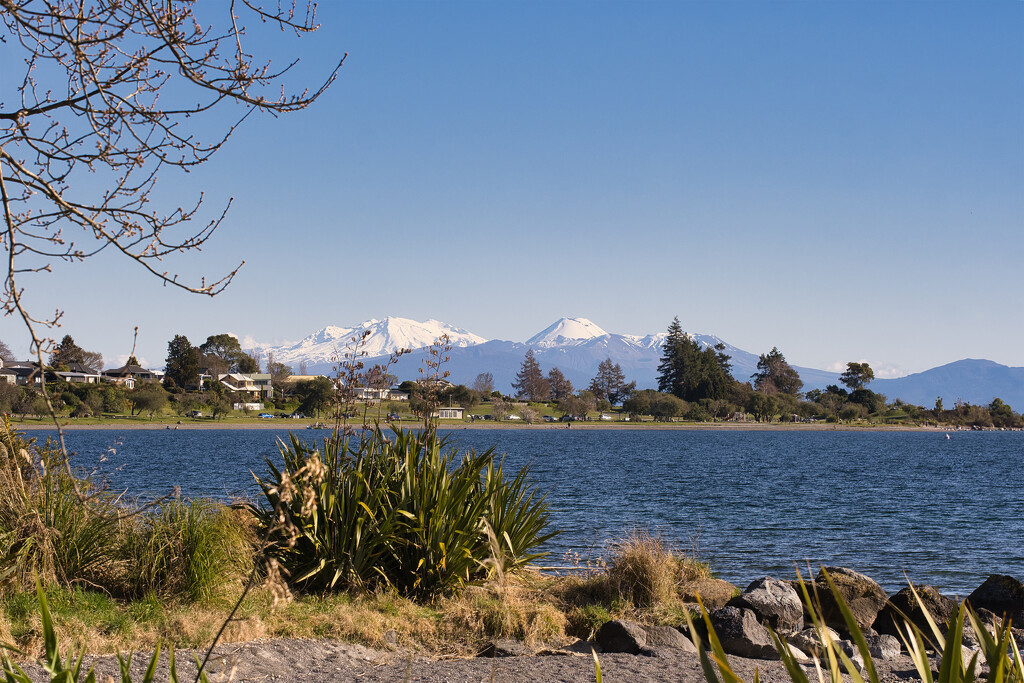 Central Plateau Mountains from Taupo by dkbarnett