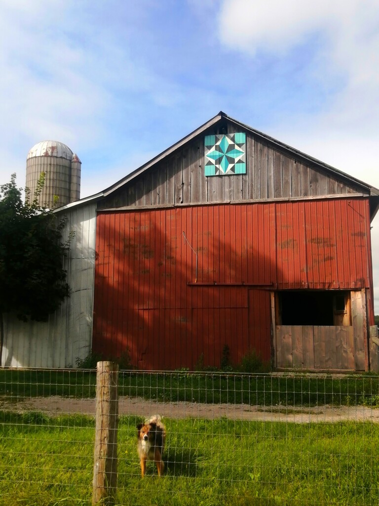 Barn Quilt and Farm Dog by princessicajessica