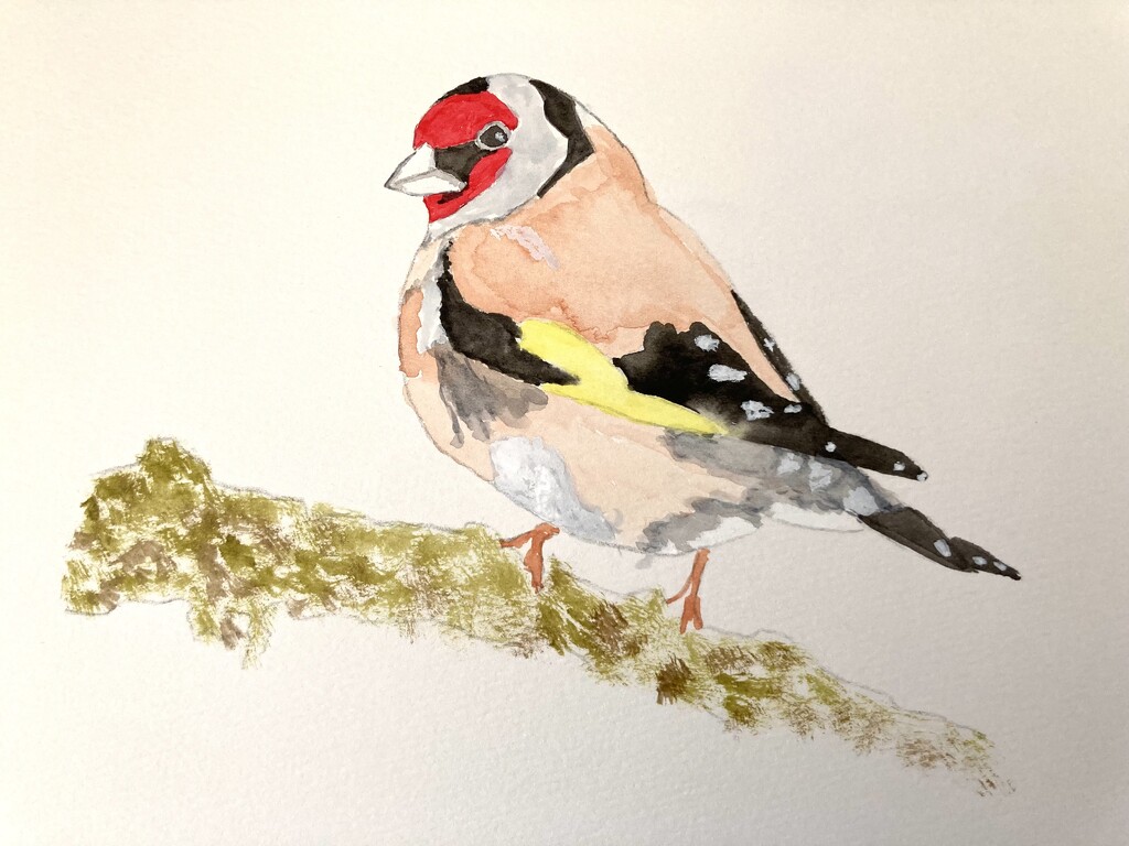 Day 10:  Goldfinch by artsygang