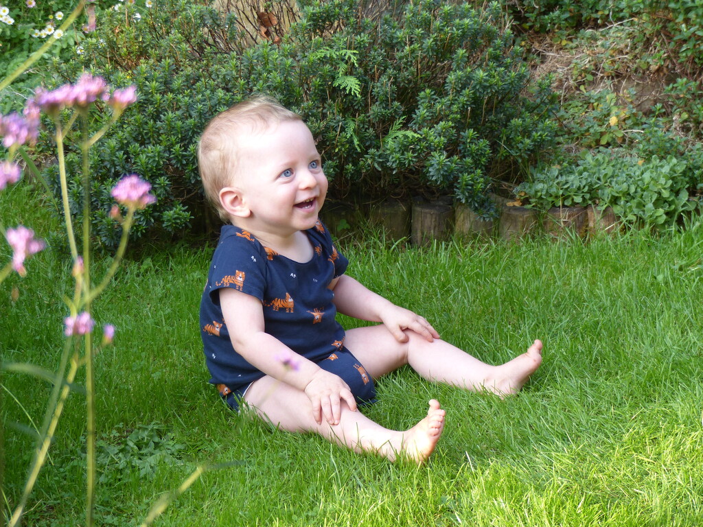 Giggles in the Garden by susiemc