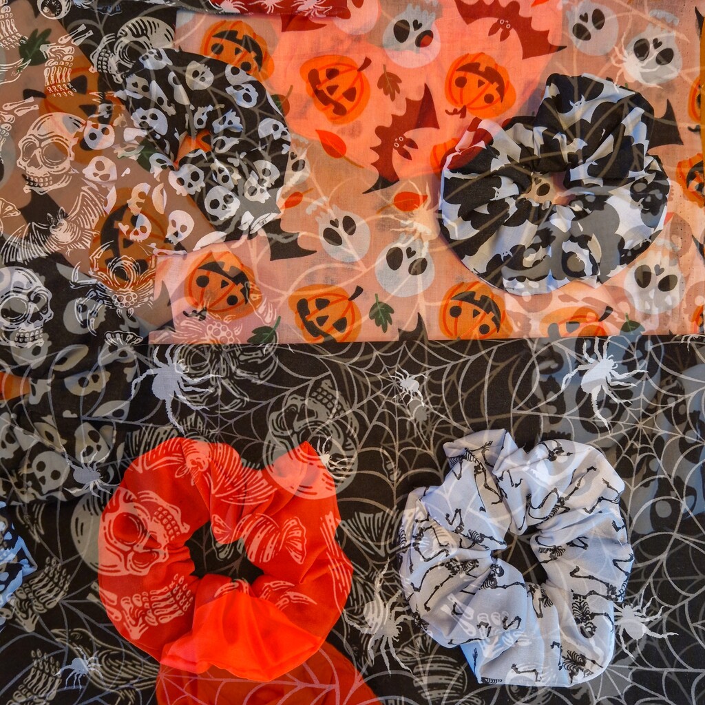 Halloween scrunchies 🎃  by andyharrisonphotos