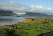 30th Aug 2023 - Orkney looking to Hoy