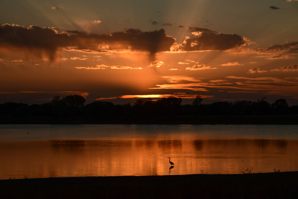 Augusta City Lake Sunset by kareenking