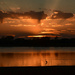 Augusta City Lake Sunset by kareenking