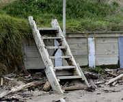 12th Sep 2023 - Take another step onto the beach